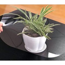 Hakel 1mm Şeffaf Pleksi Levha Apet Levha Cam Görünümlü Pleksi Tablo Camı