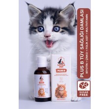 Bizimevde Lıttle Pet Plus B For Cats 50 ml Kediler Için Tüy Sağlığı Damlası