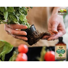 Dr. Worm  Root- 45 Köklendirici & Gelişim Destekleyici Organik Içerikli Sıvı Bitki Besini 500 ml