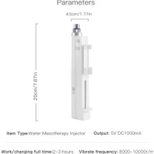 12PCS 3D Nano Hydra Enjektör Derma Kalemi Kablosuz Su Mezoterapisi Microneedle Mesogun Enjeksiyon Asit Dermapen Nano Iğneler ile Cilt Bakım Kitleri (Yurt Dışından)