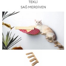 Kedi Yatağı, Kedi Yuvası, ve Kedi duvar yatağı, Kedi hamağı, + Sağ Tip Kedi Tırmanma Merdiveni, 2li Ahşap Modern Set, BuShop Zebra Serisi