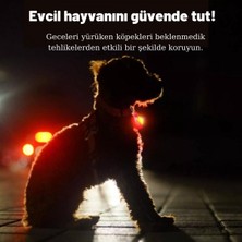 Köpek Tasmaları Led Işık Köpek Tasması Özel Etiketli BuShop Yansıtıcı M Mavi