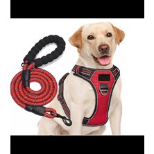 Köpek Göğüs Tasması Gezdirme Seti 2 Li M-110CM- Siyah BuShop