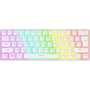 RADIANT K11 Beyaz Type-C Bağlantılı RGB Puding Tuşlu US Layout Blue Switch Gaming Oyuncu Klavye