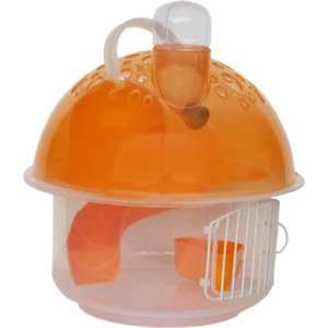 Hamster Evi
