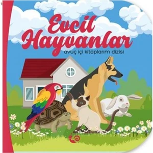 Avuç İçi Kitaplarım Evcil Hayvanlar