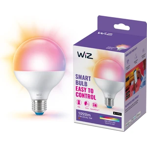 75W Renkli Ambiyans E27 Akıllı Ampul (G95) Matter, Google Home, Alexa Uyumlu