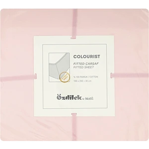 Colourist Tek Kişilik Lastikli Fitted Çarşaf 100X200+30