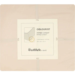 Colourist Tek Kişilik Lastikli Fitted Çarşaf 100X200+30