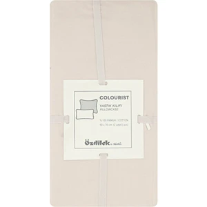 Colourist 2'li Yastık Kılıfı