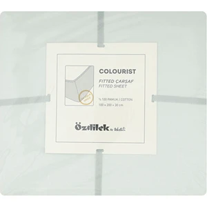 Colourist Tek Kişilik Lastikli Fitted Çarşaf 100X200+30