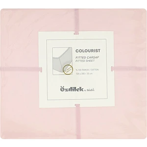 Colourist Lastikli Fitted Çarşaf 120X200+30