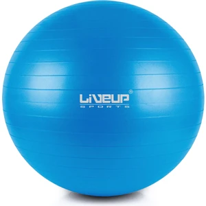 LS3222 55 Cm Pilates Topu + Pompası