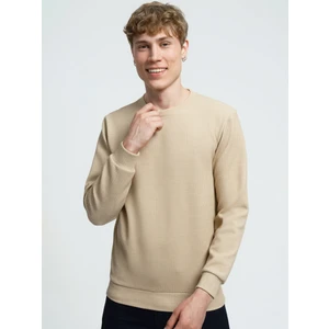 Regular Fit Erkek Sweatshirt