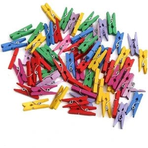 Küçük Renkli Mini Fotoğraf Mandalı 72 Adet