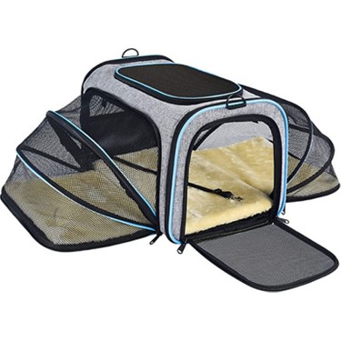 Pet carrier hotsell in store