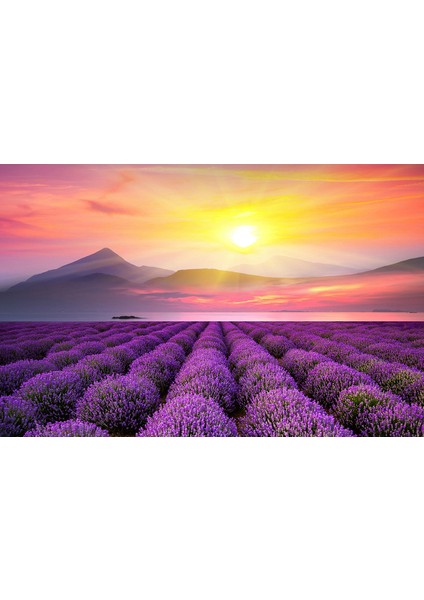1000 Parça Kağıt Beyaz Kart Puzzle (Yurt Dışından)