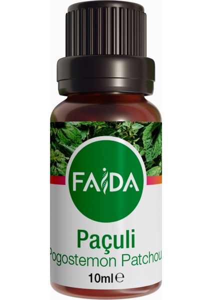 Paçuli Yağı-Pogostemon Paçuli 10 ml