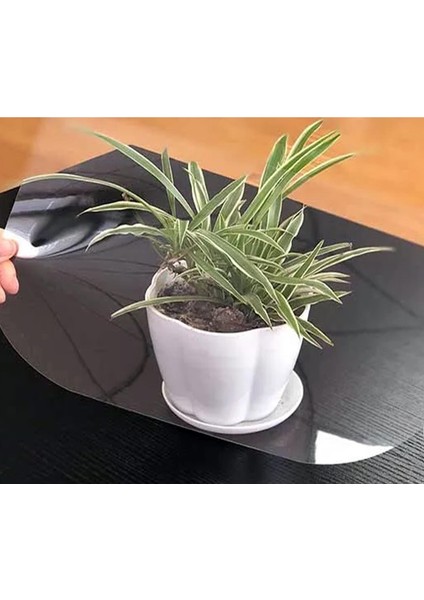 1mm Şeffaf Pleksi Levha Apet Levha Cam Görünümlü Pleksi Tablo Camı fırsatları