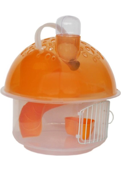 Hamster Evi