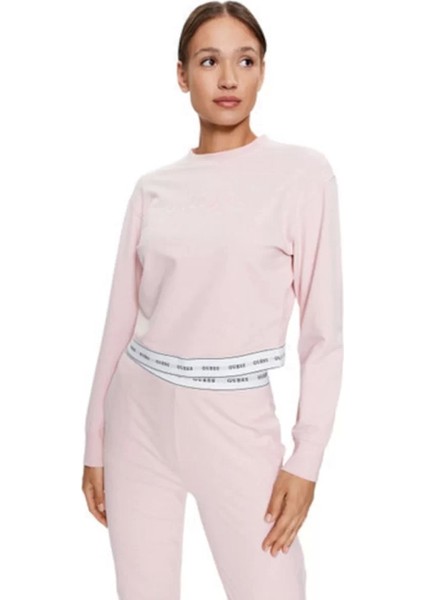 Pembe Regular Fit Sweatshirt