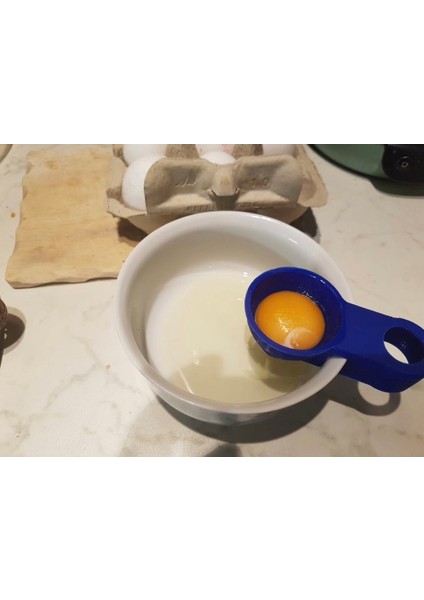 Yumurta Ayrıştırıcı
