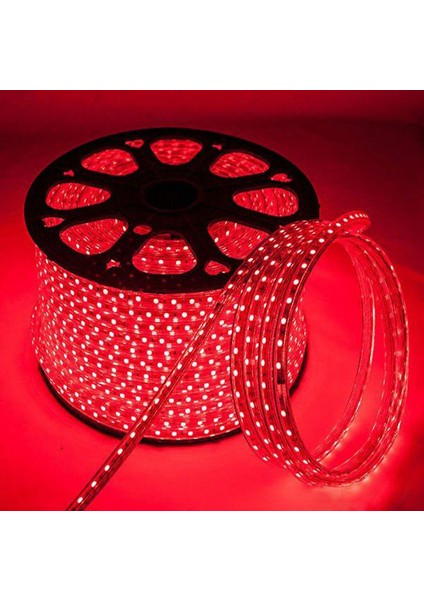 Hortum Esnek Şerit LED Kırmızı Işık + 220V FIŞ/1,2,3,4,5,10,15,20,25,50,100 Metre fiyatları