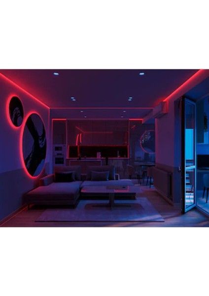 Hortum Esnek Şerit LED Kırmızı Işık + 220V FIŞ/1,2,3,4,5,10,15,20,25,50,100 Metre indirimleri