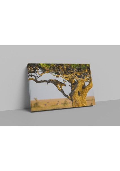 Leopar Evi 50 x 70 Kanvas Tablo