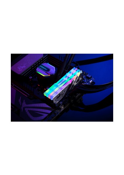 Panther Rgb 32GB (2X16GB) 5200MHZ CL38 Ddr5 Gaming Ram (AH5U32G52C5229BAA-2)