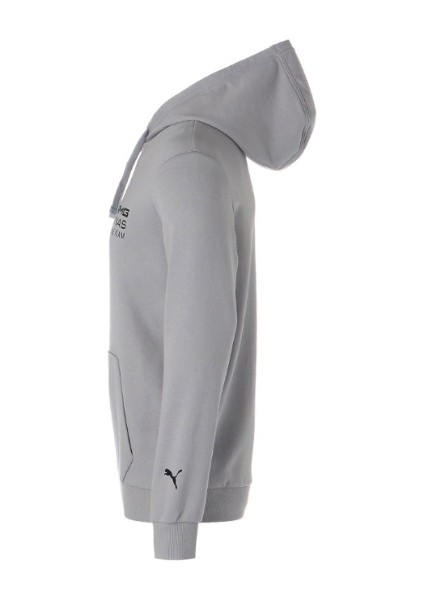Motorsport Mercedes Benz Mapf1 Ess Hoodıe Sweatshirt Gri 53743002