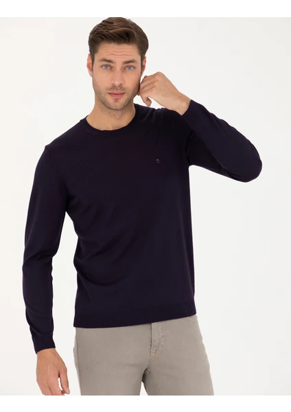 Pierre Cardin Erkek Mor Slim Fit Bisiklet Yaka Yün Karışımlı Basic Triko Kazak 50270054-VR038