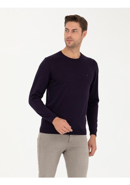 Pierre Cardin Erkek Mor Slim Fit Bisiklet Yaka Yün Karışımlı Basic Triko Kazak 50270054-VR038