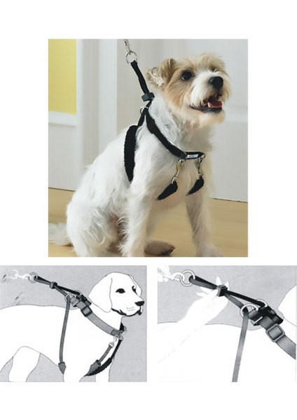 Dog Training x s 34" x 9 - 12" Eğitim Tasması 679 - 13521
