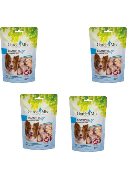 Somonlu Köpek Ödül Maması 75 gr x 4 Adet