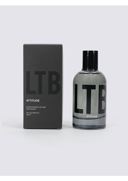 Erkek Parfum Attıtude 012249005100000