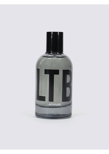 Erkek Parfum Attıtude 012249005100000 fiyatları