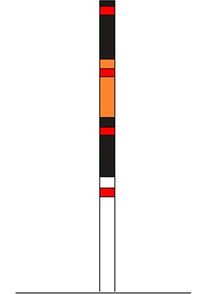 Kar Direği 3m-2mm