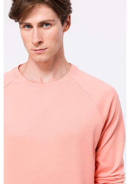 Erkek Pembe Sweatshirt