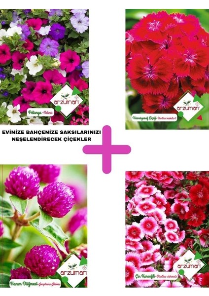 Arzuman Karışık Çiçek Tohumları 4 Lü Paket 4 Çeşit Çiçek Tohumu