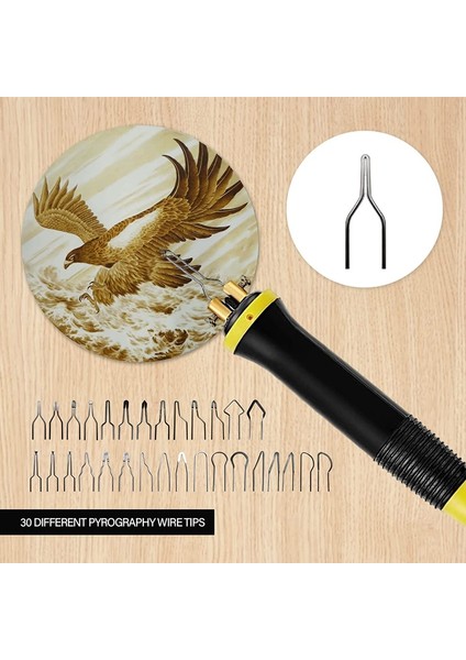 LH30-S2 60W,CN Pyrography Ahşap Yakma Kiti Profesyonel Ahşap Yakıcı Aracı Çift Kalem 30 Ipuçları (Yurt Dışından)