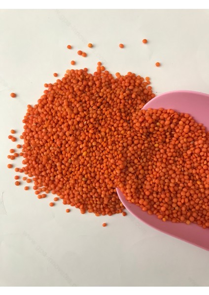 Göçmen Kırmızı Mercimek fiyatları