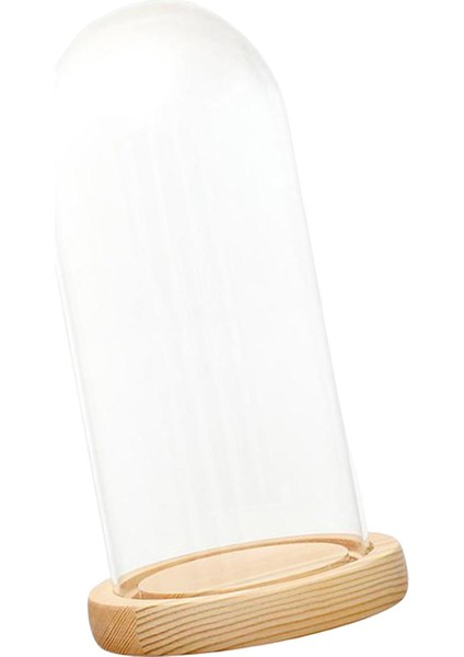 Cam Cloche Dıy Dekor Kaideler Mini Çan Kavanoz 12CMX28CMX14CM (Yurt Dışından) fiyatları
