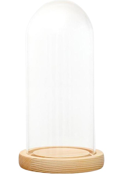 Cam Cloche Dıy Dekor Kaideler Mini Çan Kavanoz 12CMX28CMX14CM (Yurt Dışından) modelleri