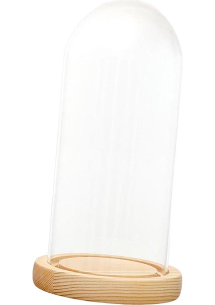 Cam Cloche Dıy Dekor Kaideler Mini Çan Kavanoz 12CMX28CMX14CM (Yurt Dışından) fırsatları