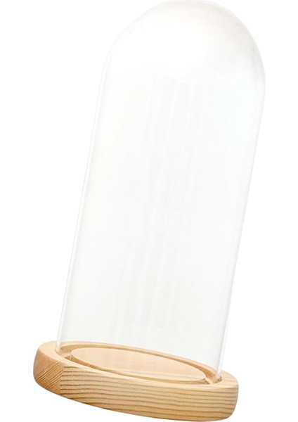 Cam Cloche Dıy Dekor Kaideler Mini Çan Kavanoz 12CMX28CMX14CM (Yurt Dışından) indirimleri