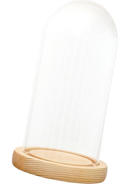 Cam Cloche Dıy Dekor Kaideler Mini Çan Kavanoz 12CMX25CMX14CM (Yurt Dışından)