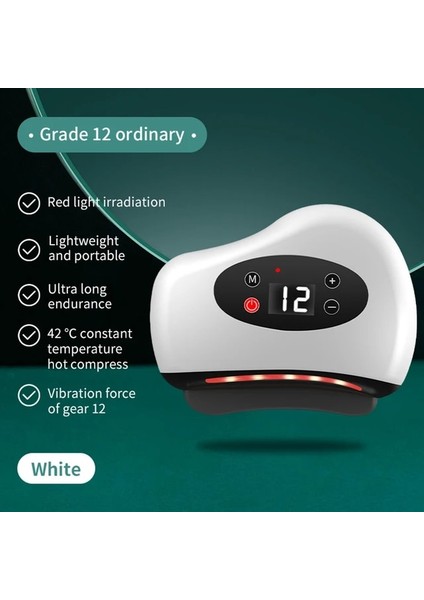 GRADE12 Titreşim Kazıma Tahtası Yüz Gua Sha Elektrikli Taş Kaldırma Masaj Sökücü Nazolabial Kıvrımlar Gevşeme Cihazı Güzellik Yeni (Yurt Dışından)