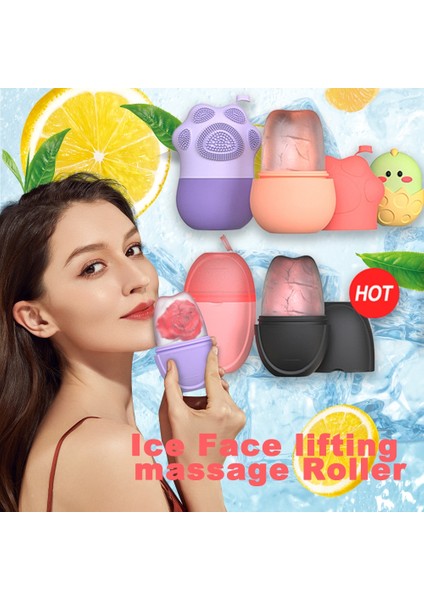 B-Purple Silikon Buz Rulo Yüz Masaj Bakım Aracı (Yurt Dışından) fiyatları