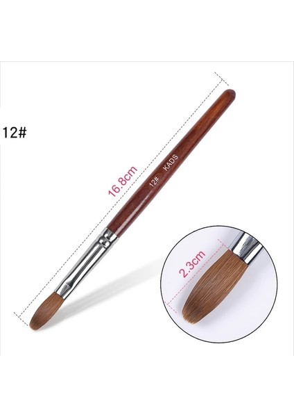 Boyut 12 Kıvrımlı Kads Kolinsky Akrilik Tırnak Fırçası Manikür Tozu Için Kıvrımlı Yuvarlak Kırmızı Ahşap Saplı Profesyonel Alet Manikür Fırçaları (Yurt Dışından)